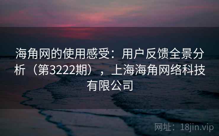 海角网的使用感受：用户反馈全景分析（第3222期），上海海角网络科技有限公司