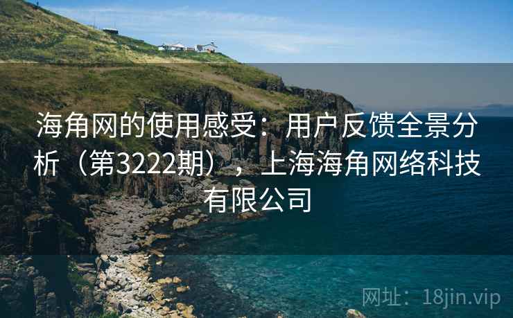 海角网的使用感受：用户反馈全景分析（第3222期），上海海角网络科技有限公司