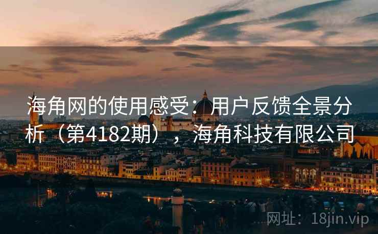 海角网的使用感受：用户反馈全景分析（第4182期），海角科技有限公司