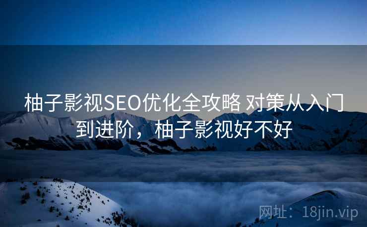 柚子影视SEO优化全攻略 对策从入门到进阶，柚子影视好不好