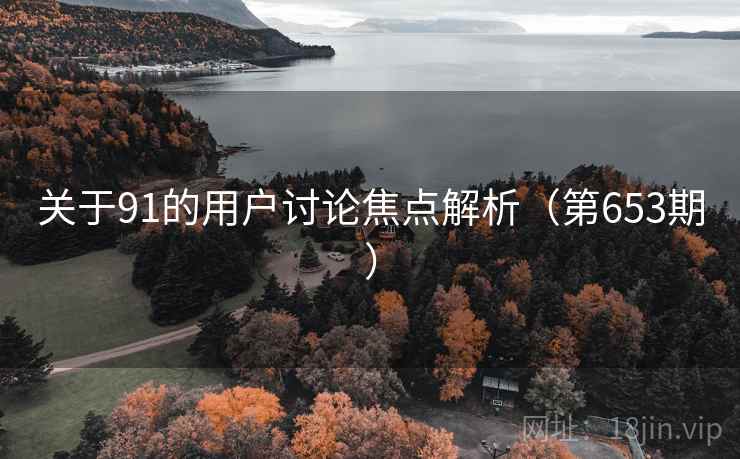 关于91的用户讨论焦点解析（第653期）
