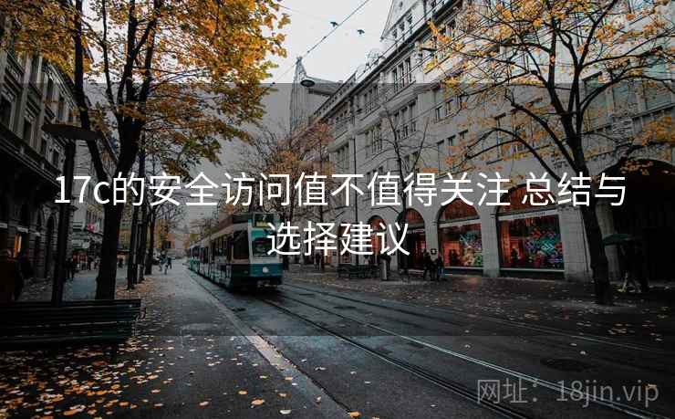 17c的安全访问值不值得关注 总结与选择建议
